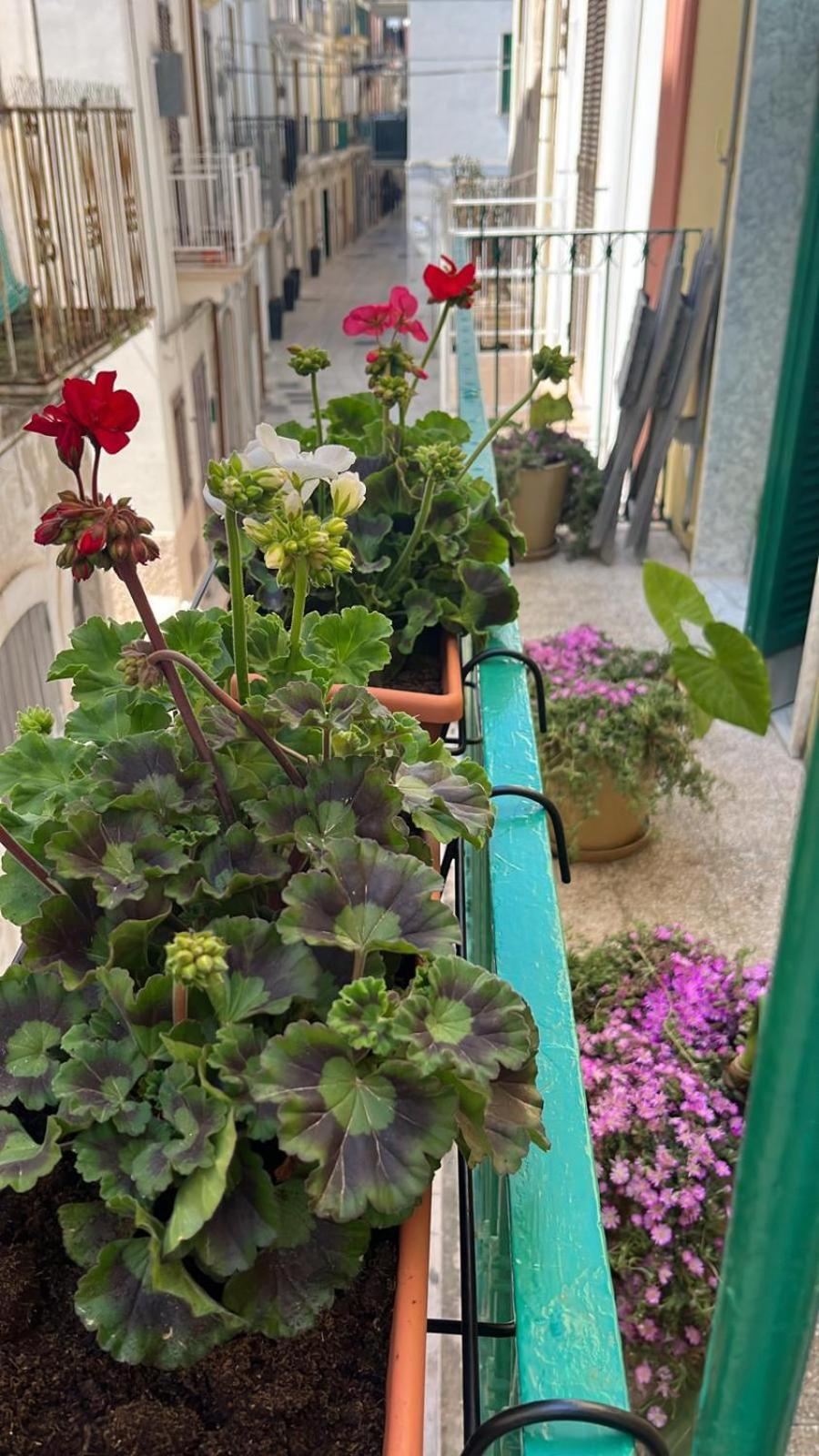 La Casa Di Nonna Sisina Villa Mola di Bari Kültér fotó